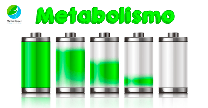 blog-metabolismo